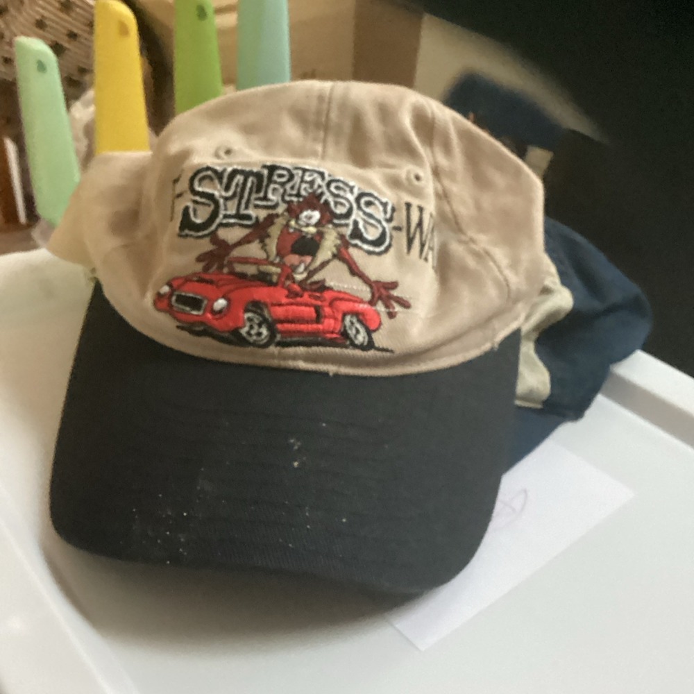 90S VINTAGE LOONEY TUNES SNAPBACK HAT OSFA TAZ TASMANIAN DEVIL TWO TONE CAP